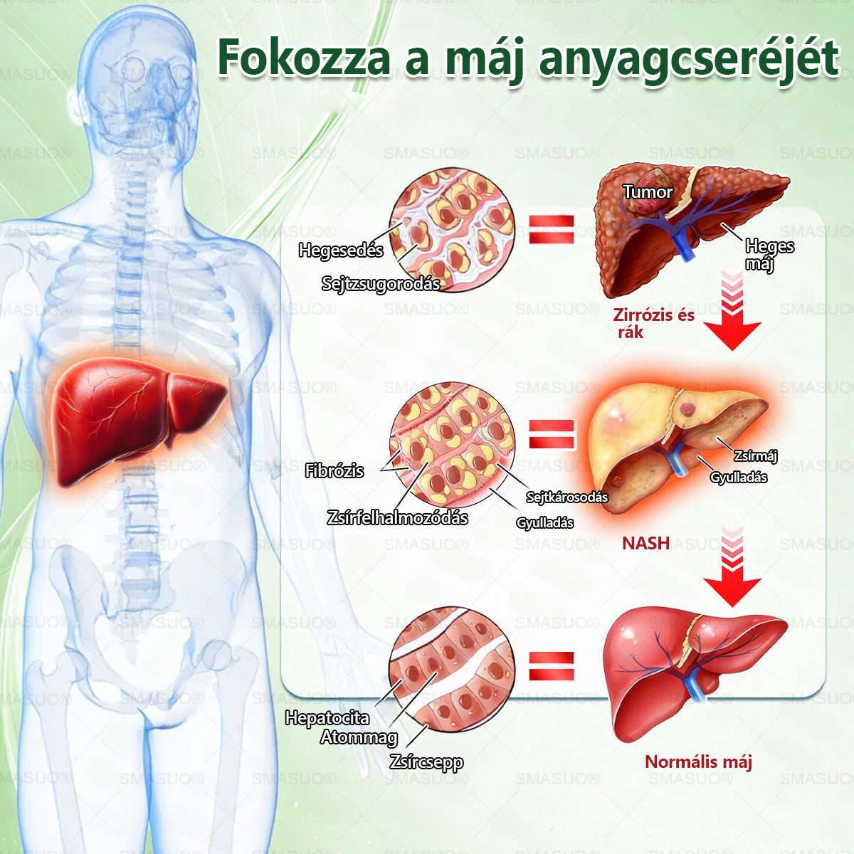 ⭐𝐏𝐙𝐆𝐎𝐍𝐄® Szuperélelmiszer Nano mikrotűs tapasz | Már csak 10 doboz maradt!🎁 További 40% kedvezményt adunk! Őrizd meg az egészséged! Ha most kihagyod, idén már nem lesz lehetőség!